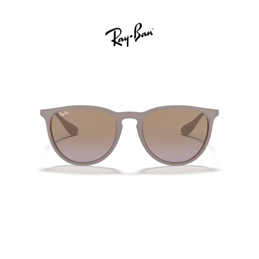 Ray-Ban RB4171 Erika Classic