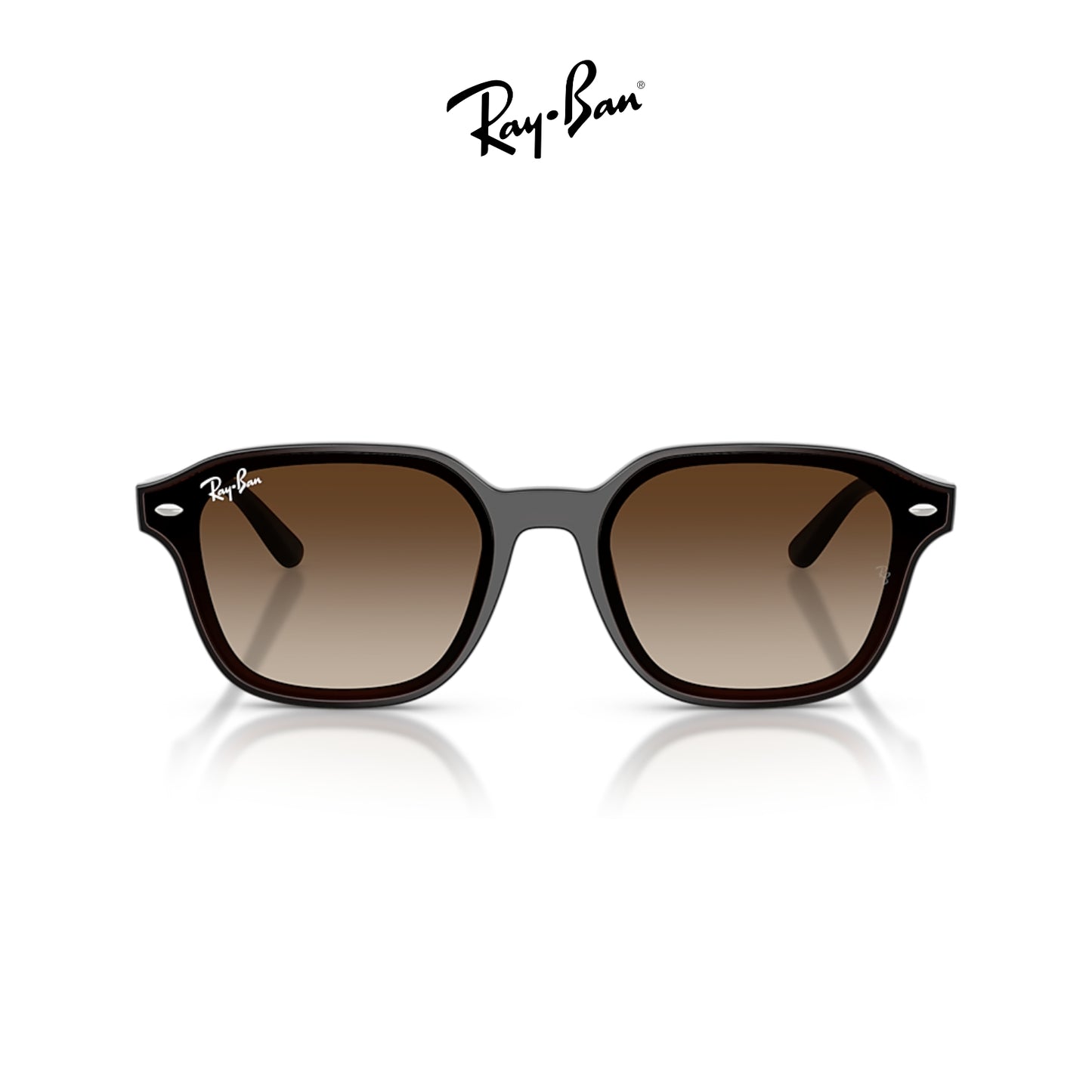 Ray-Ban RB4458D