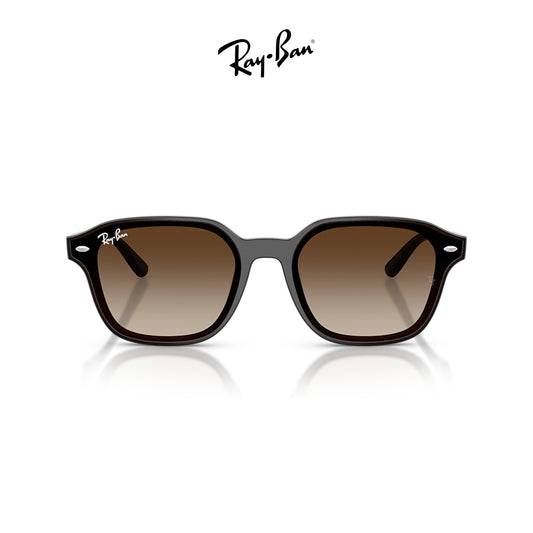 Ray-Ban RB4458D