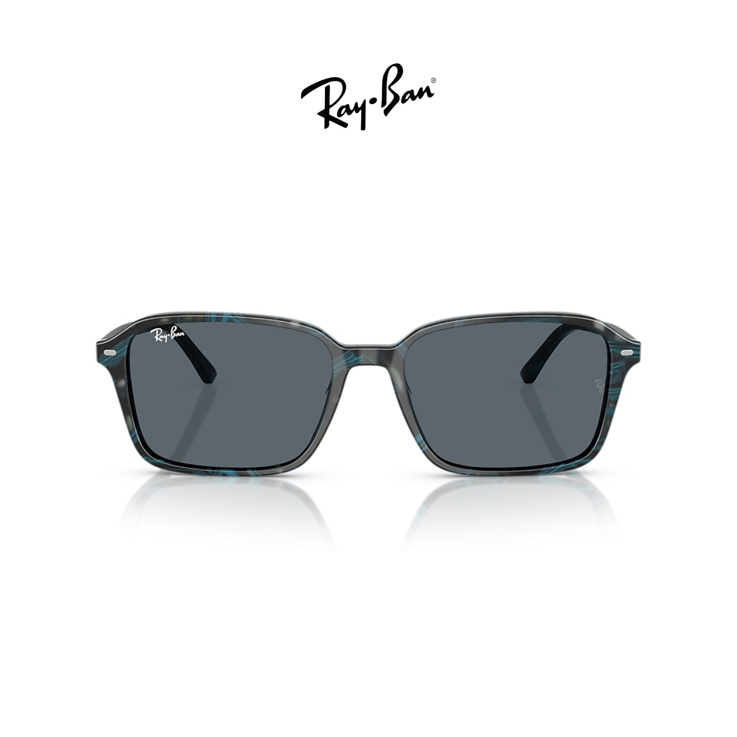 Ray-Ban RB2231 Raimond
