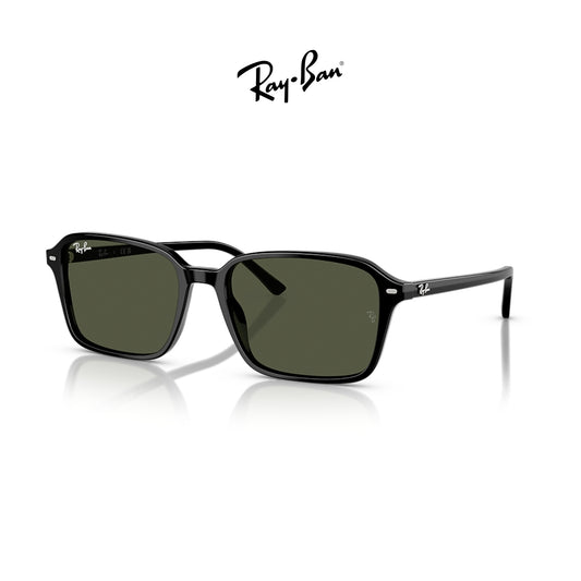Ray-Ban RB2231 Raimond