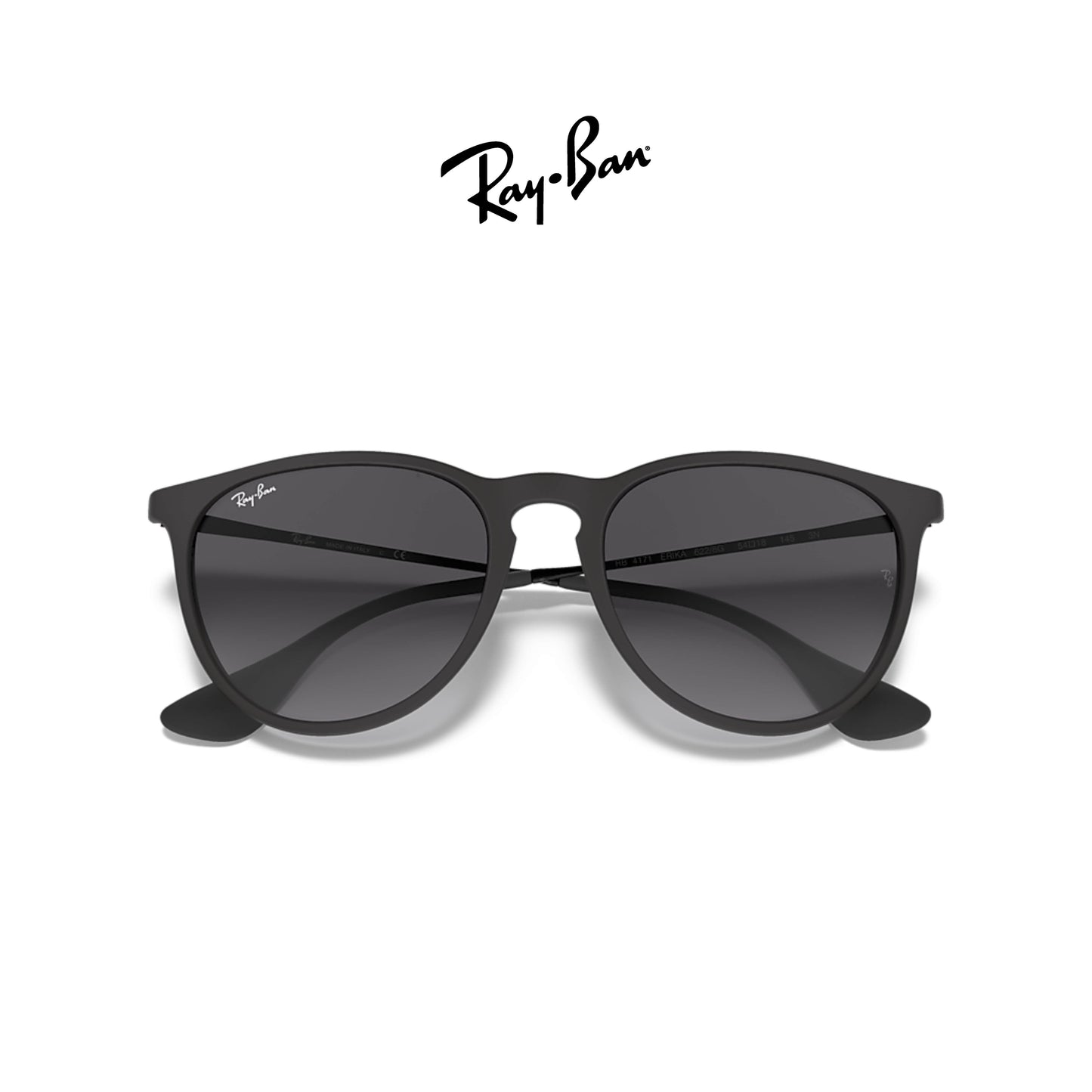 Ray-Ban RB4171 Erika Classic