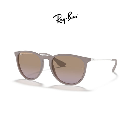Ray-Ban RB4171 Erika Classic