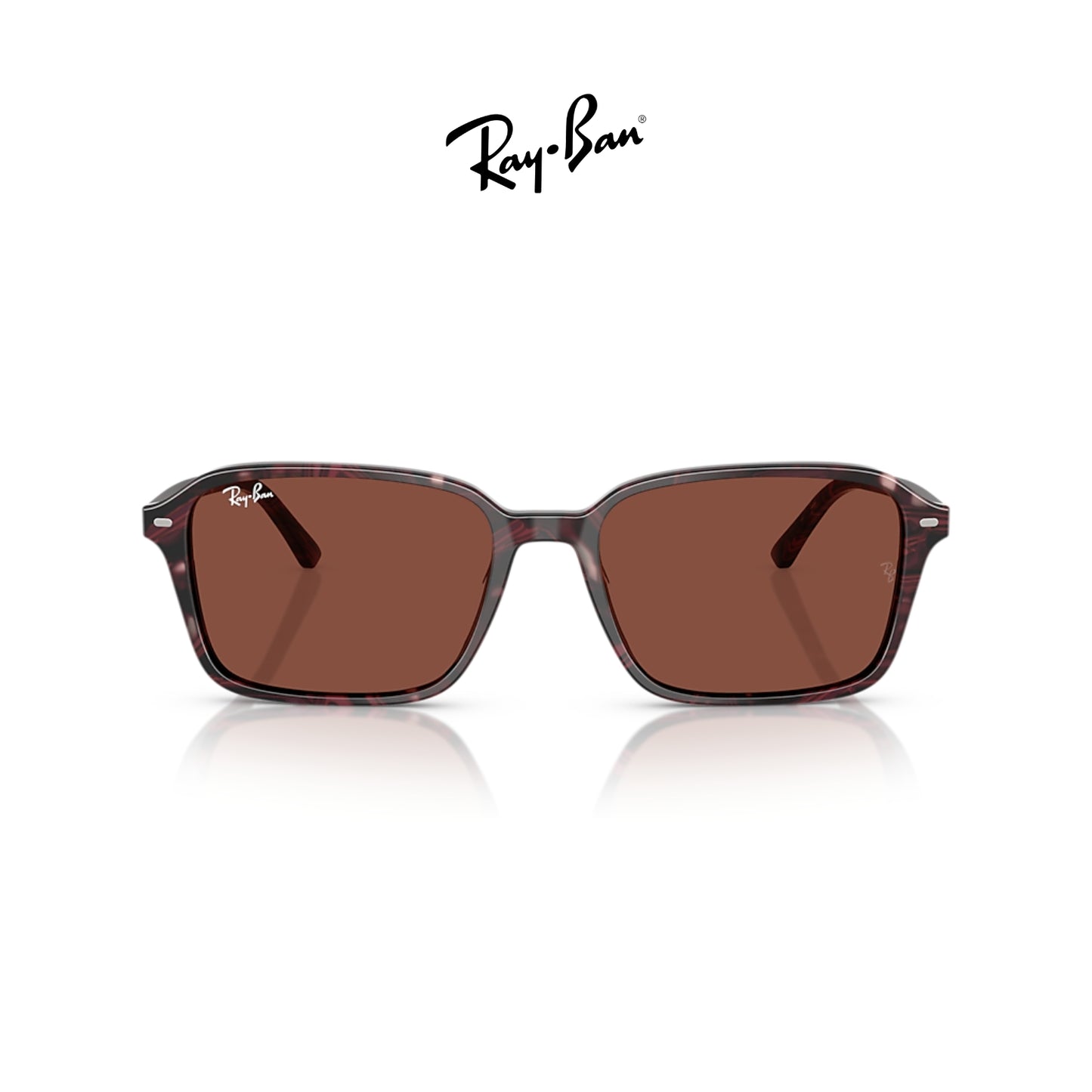 Ray-Ban RB2231 Raimond