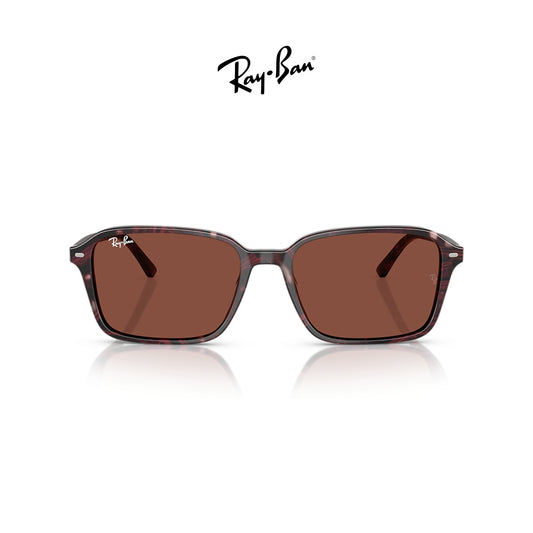 Ray-Ban RB2231 Raimond
