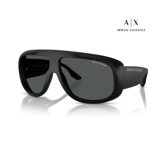 Armani Exchange Sunglasses / 0AX4143SU