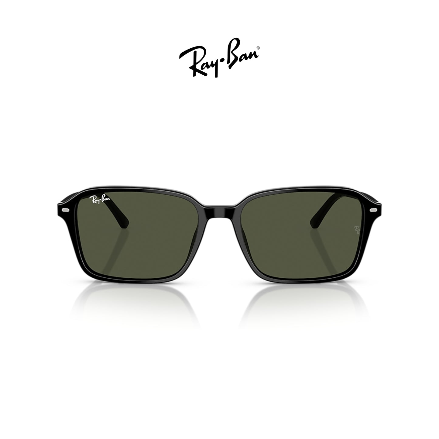 Ray-Ban RB2231 Raimond