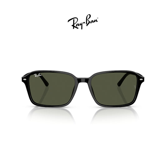 Ray-Ban RB2231 Raimond
