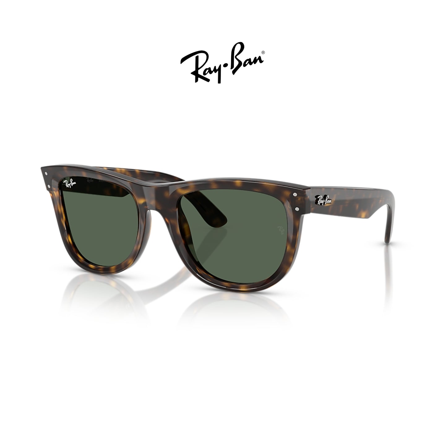 Ray-Ban
RBR0502S Wayfarer Reverse