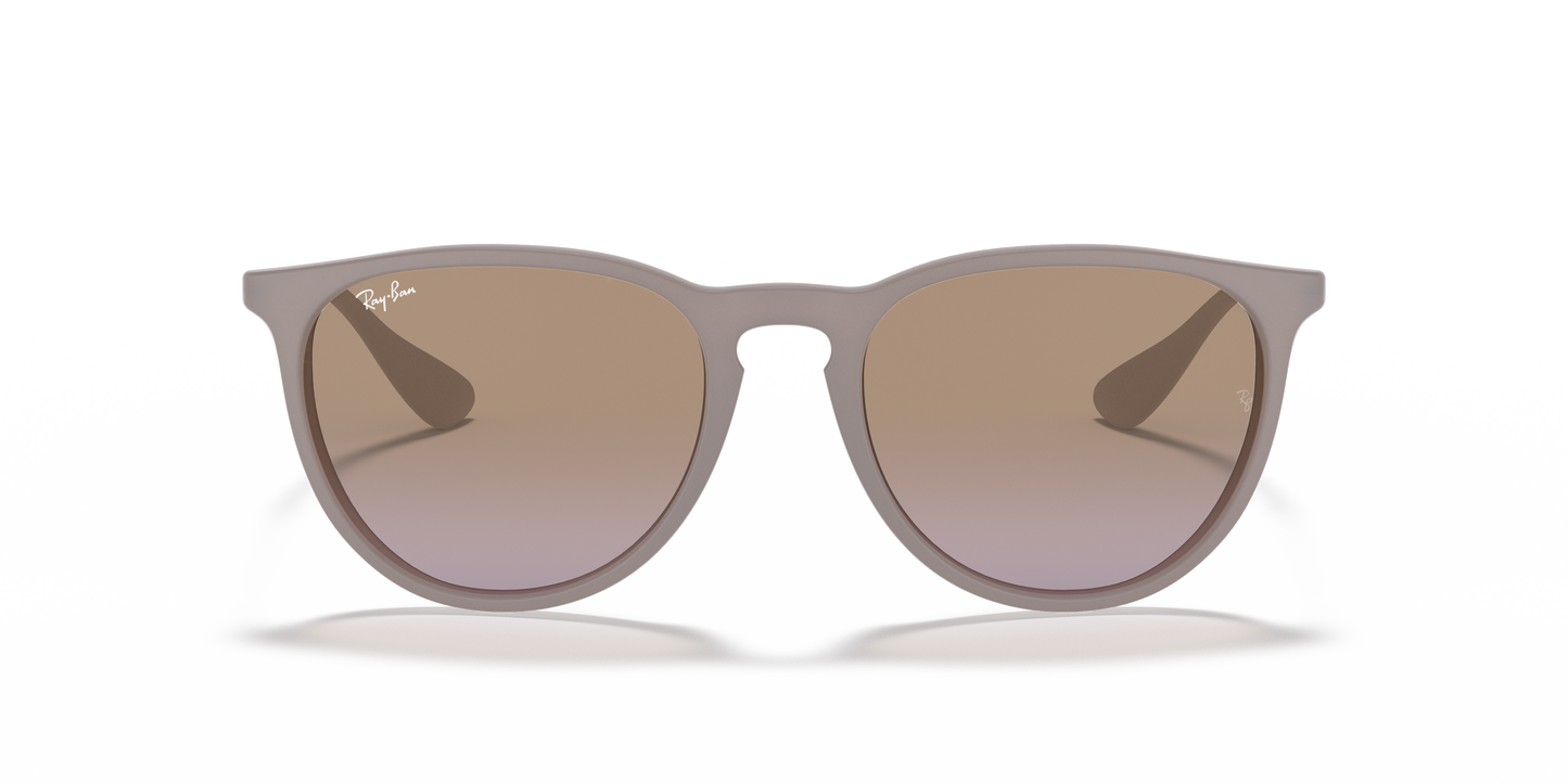 Ray-Ban Erika / RB 4171