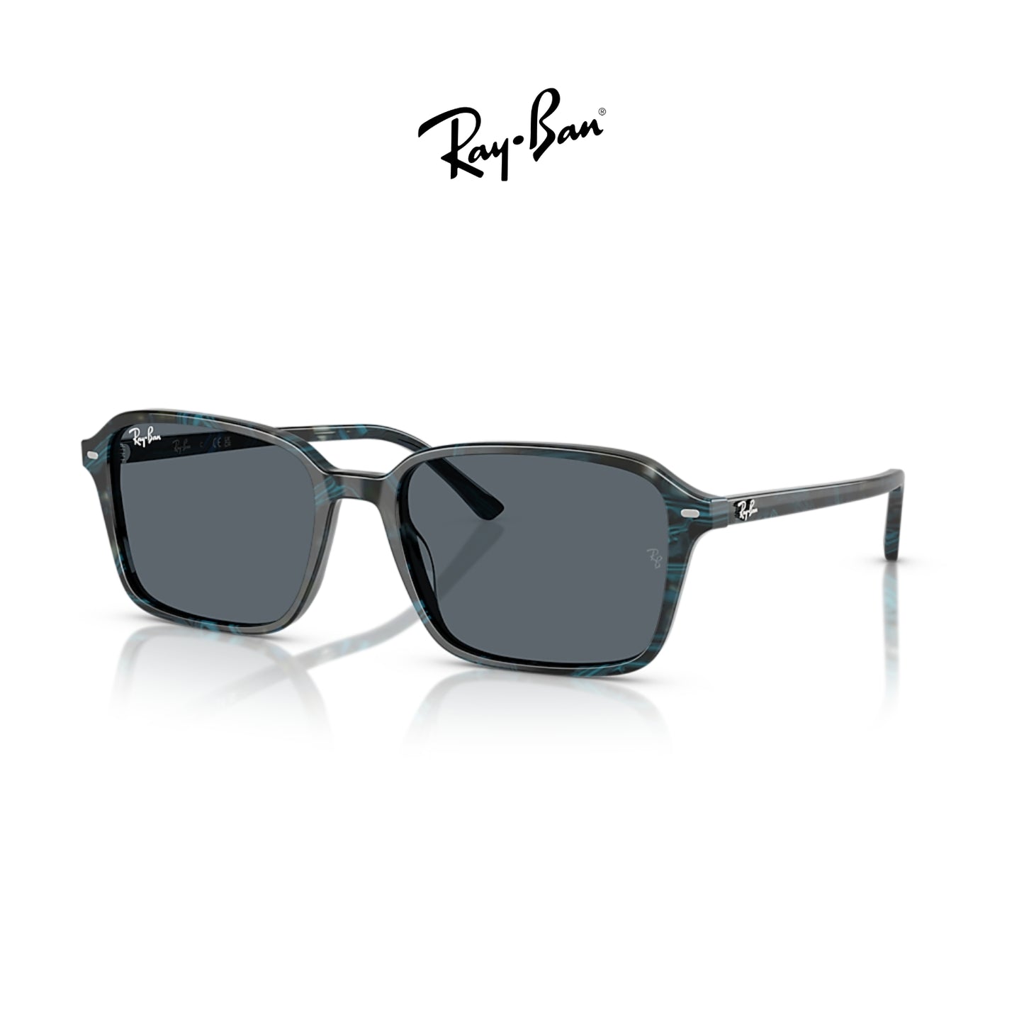 Ray-Ban RB2231 Raimond