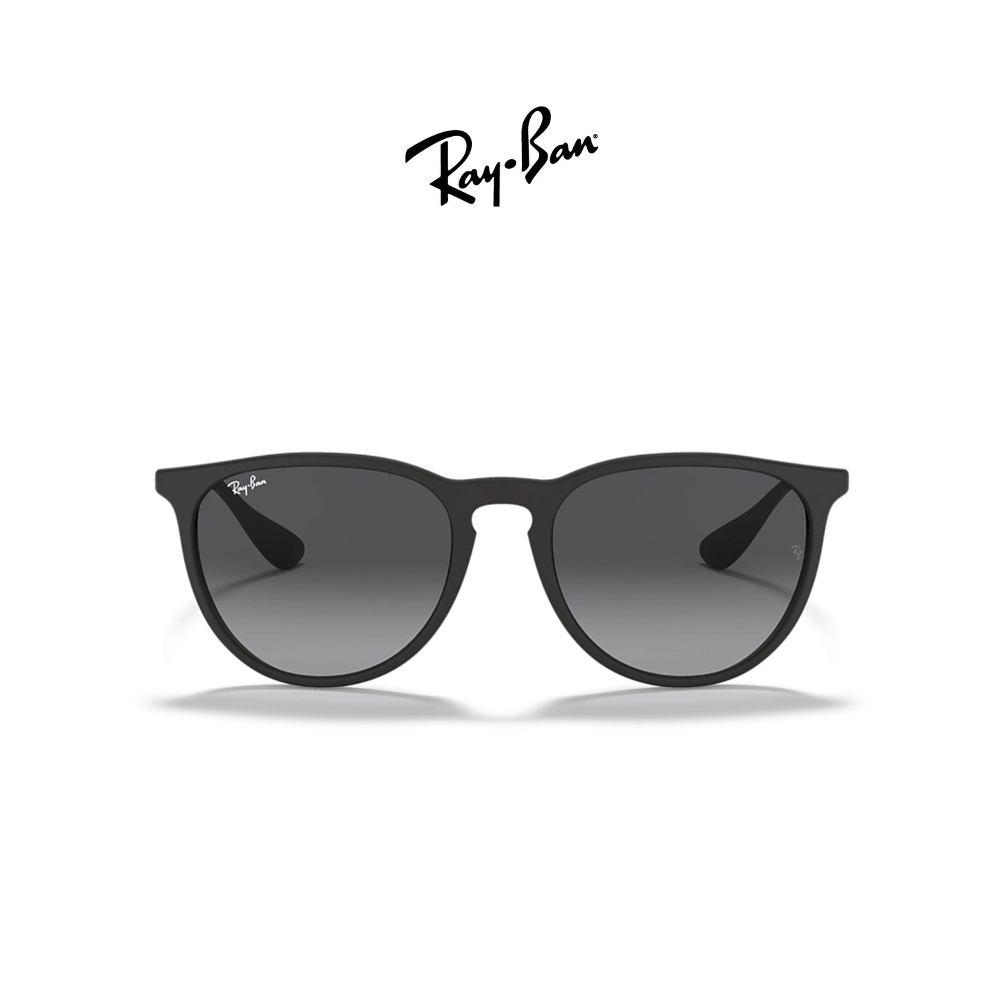 Ray-Ban RB4171 Erika Classic