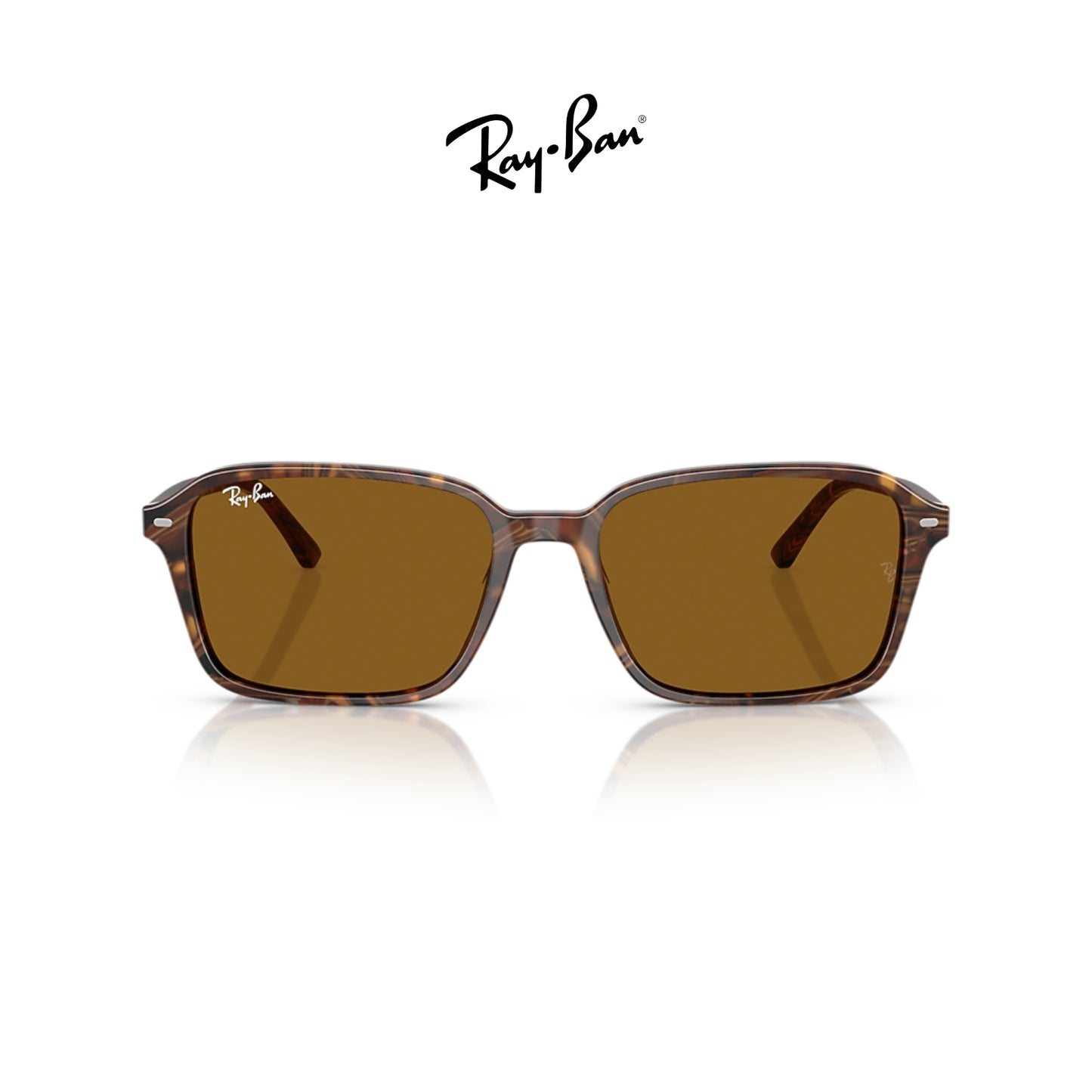 Ray-Ban RB2231 Raimond