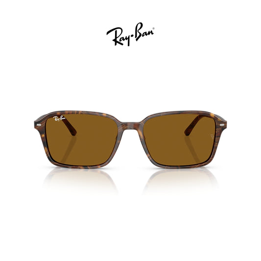 Ray-Ban RB2231 Raimond