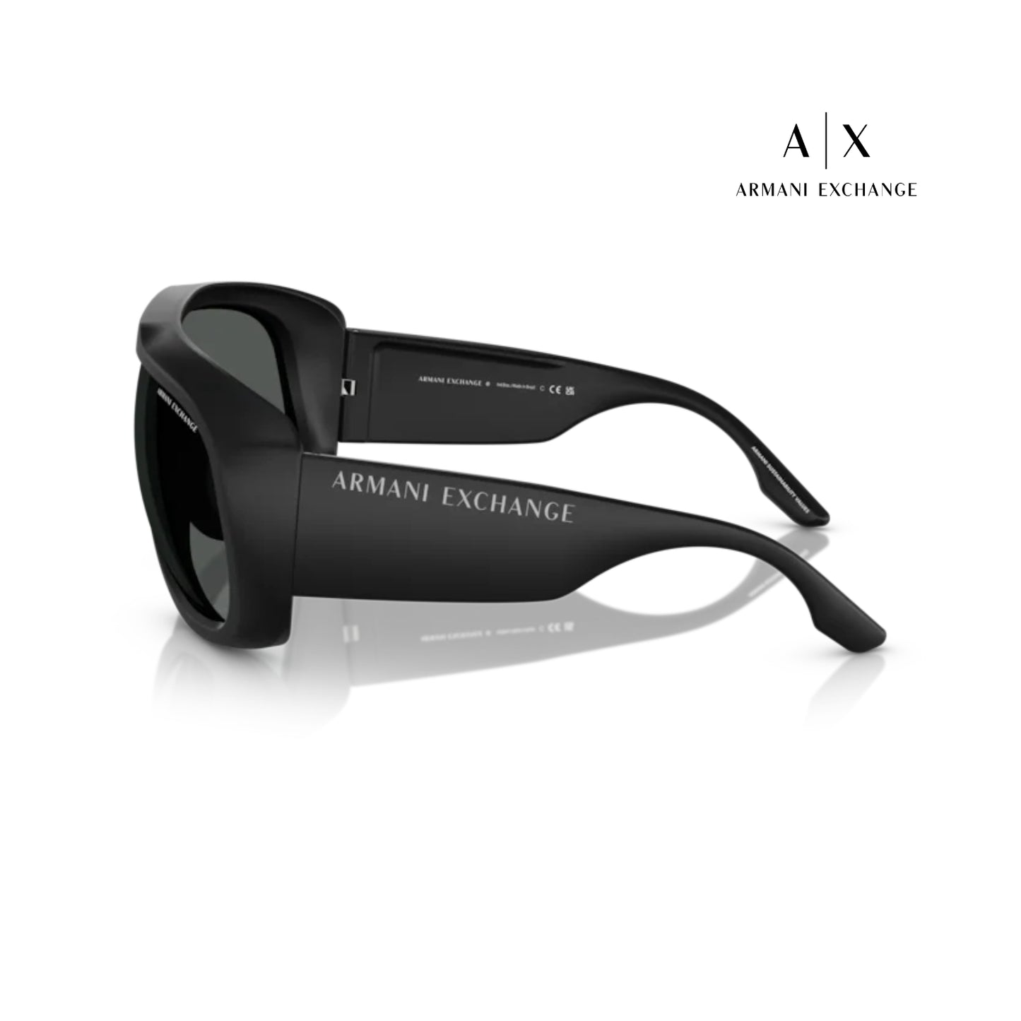 Armani Exchange Sunglasses / 0AX4143SU