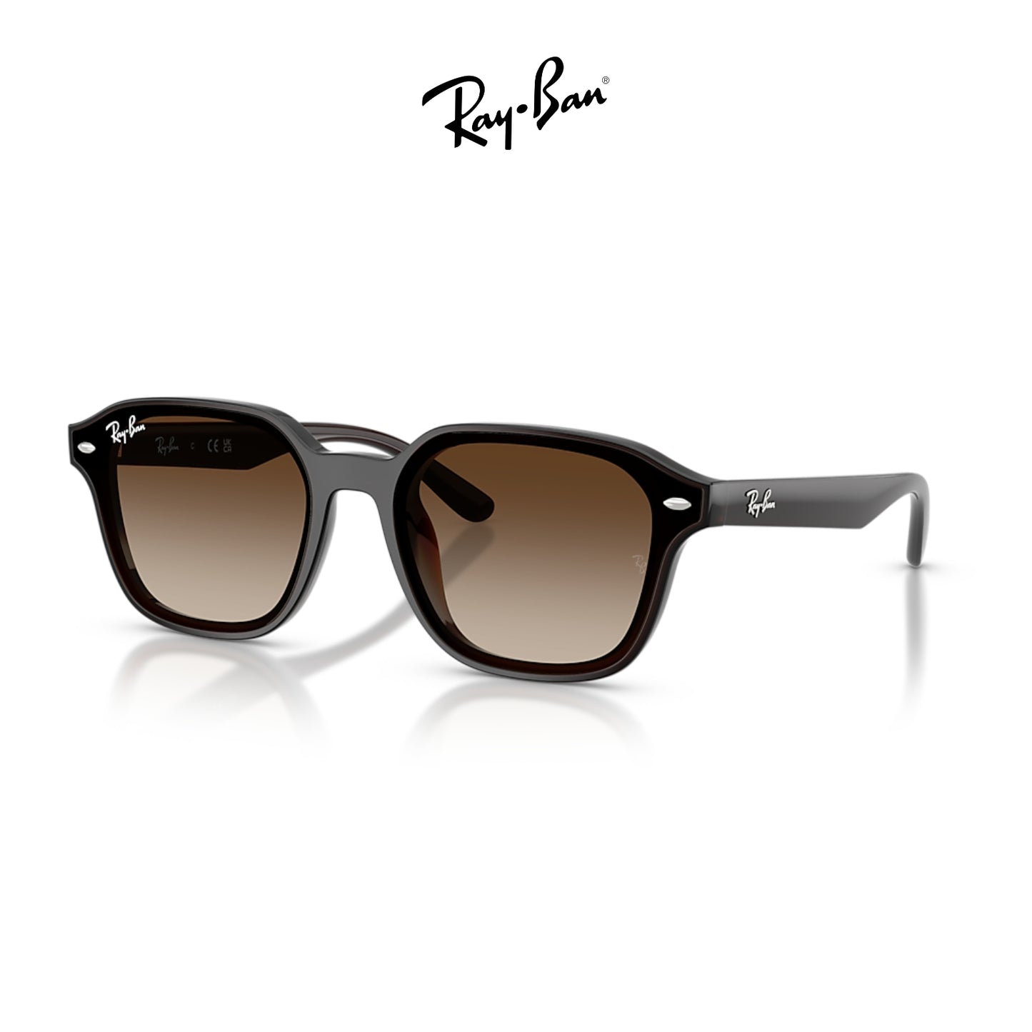 Ray-Ban RB4458D
