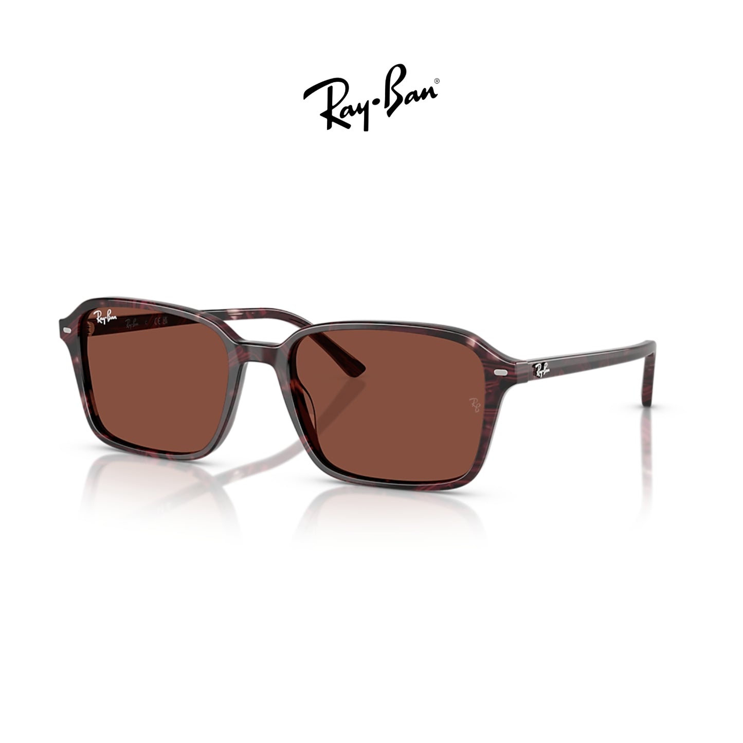 Ray-Ban RB2231 Raimond