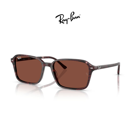 Ray-Ban RB2231 Raimond