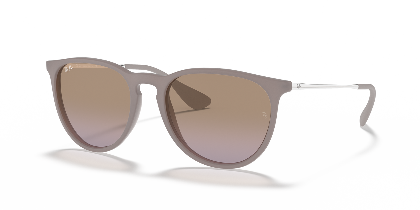 Ray-Ban Erika / RB 4171