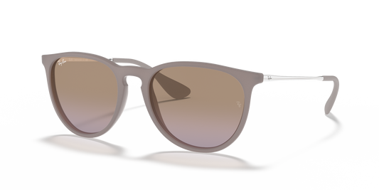 Ray-Ban Erika / RB 4171