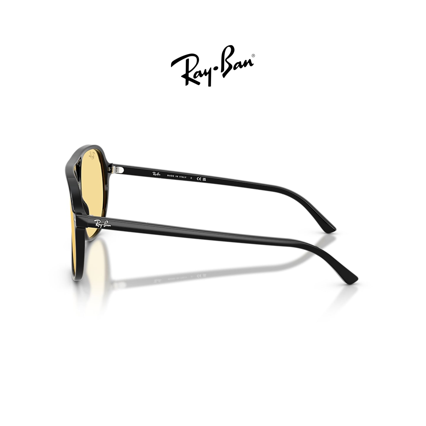 Ray-Ban Bill RB2198